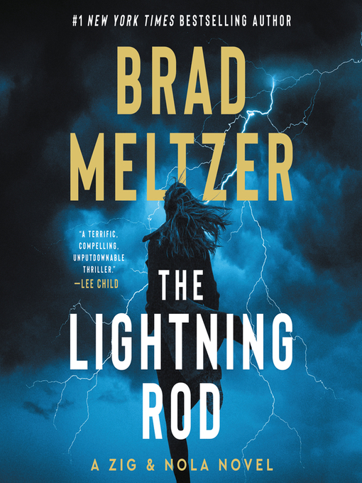 Cover image for The Lightning Rod